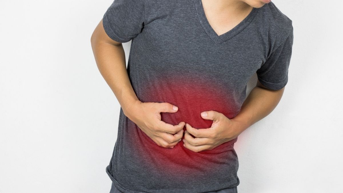 A saúde intestinal depende do equilíbrio da microbiota?