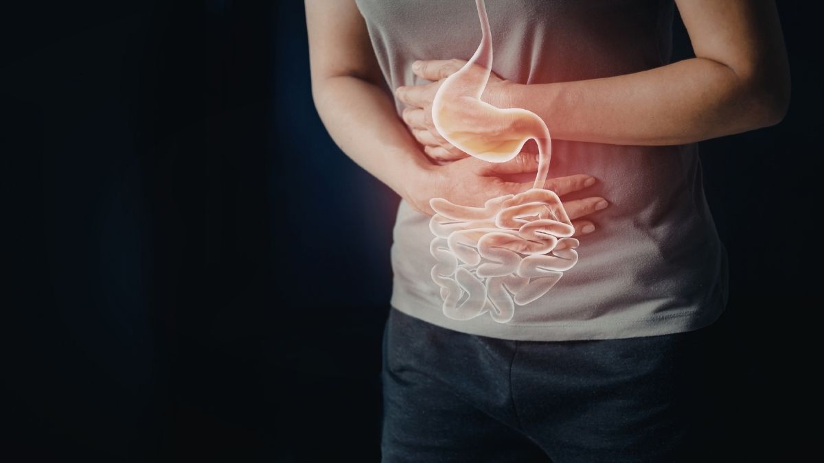 A saúde intestinal está ligada ao sistema imunológico?