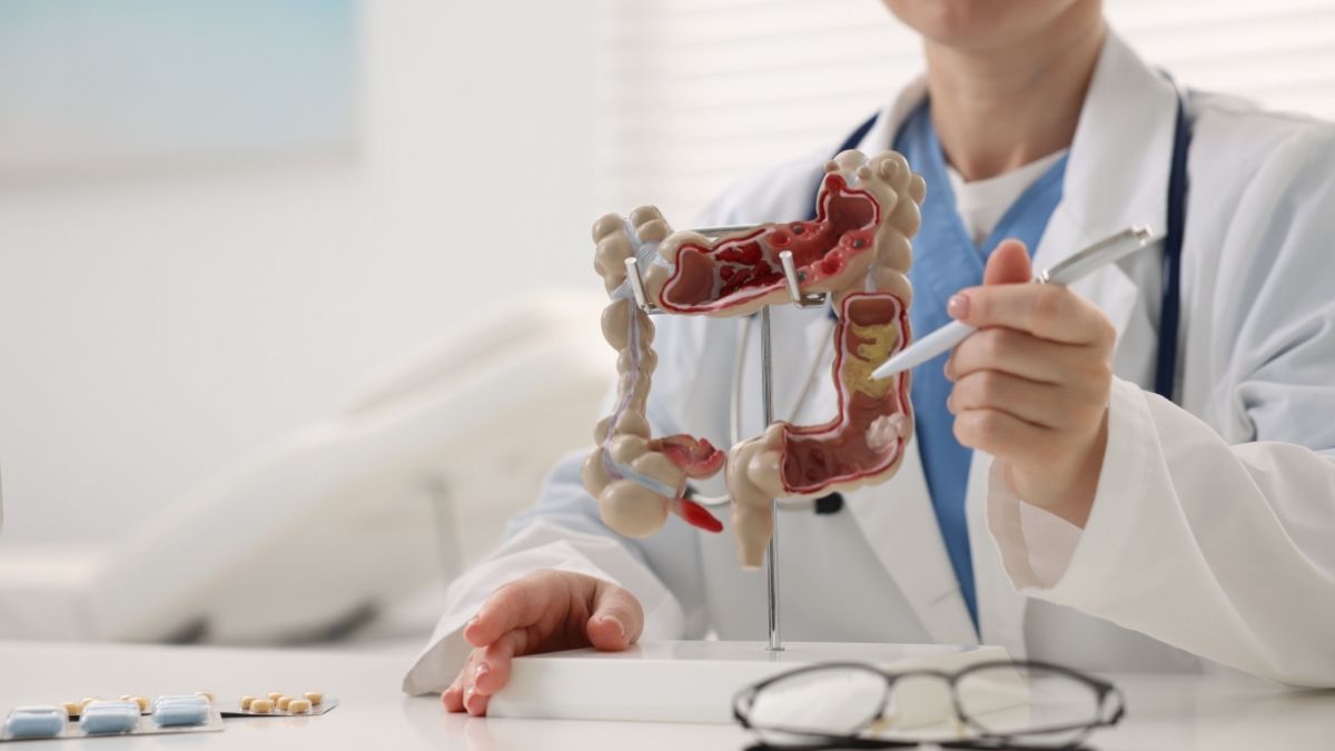A saúde intestinal influencia o equilíbrio do organismo?