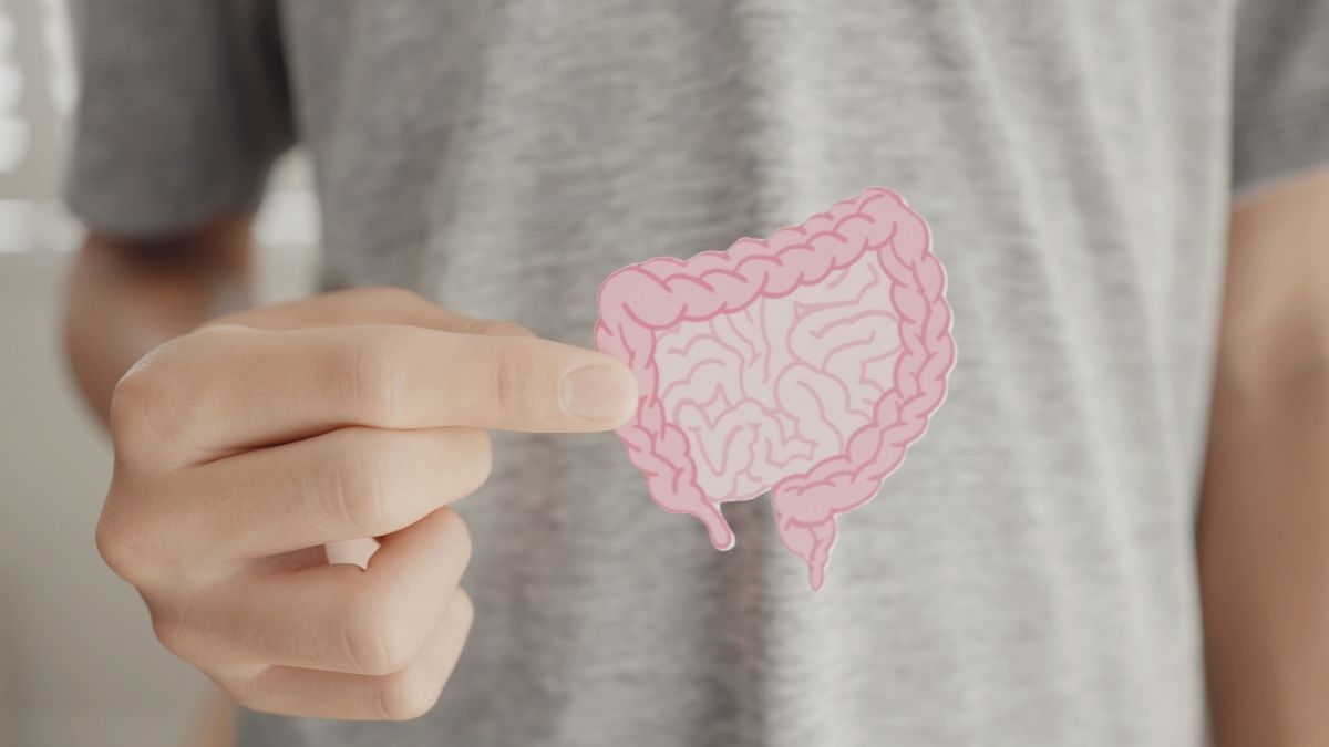 A saúde intestinal melhora com alimentos funcionais?