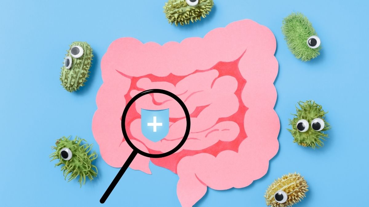 A saúde intestinal melhora com consumo de alimentos ricos em fibras?