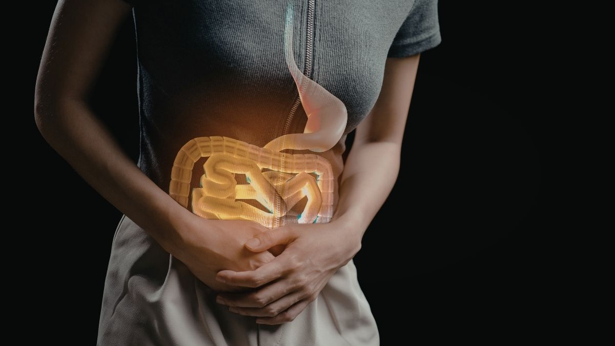 A saúde intestinal melhora com dieta equilibrada rica em fibras?