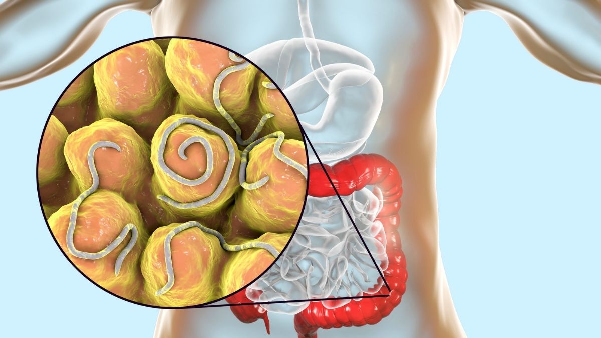 A saúde intestinal melhora com frutas secas?