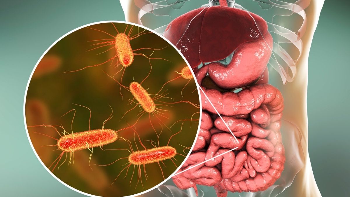 A saúde intestinal pode ser fortalecida com alimentação correta?