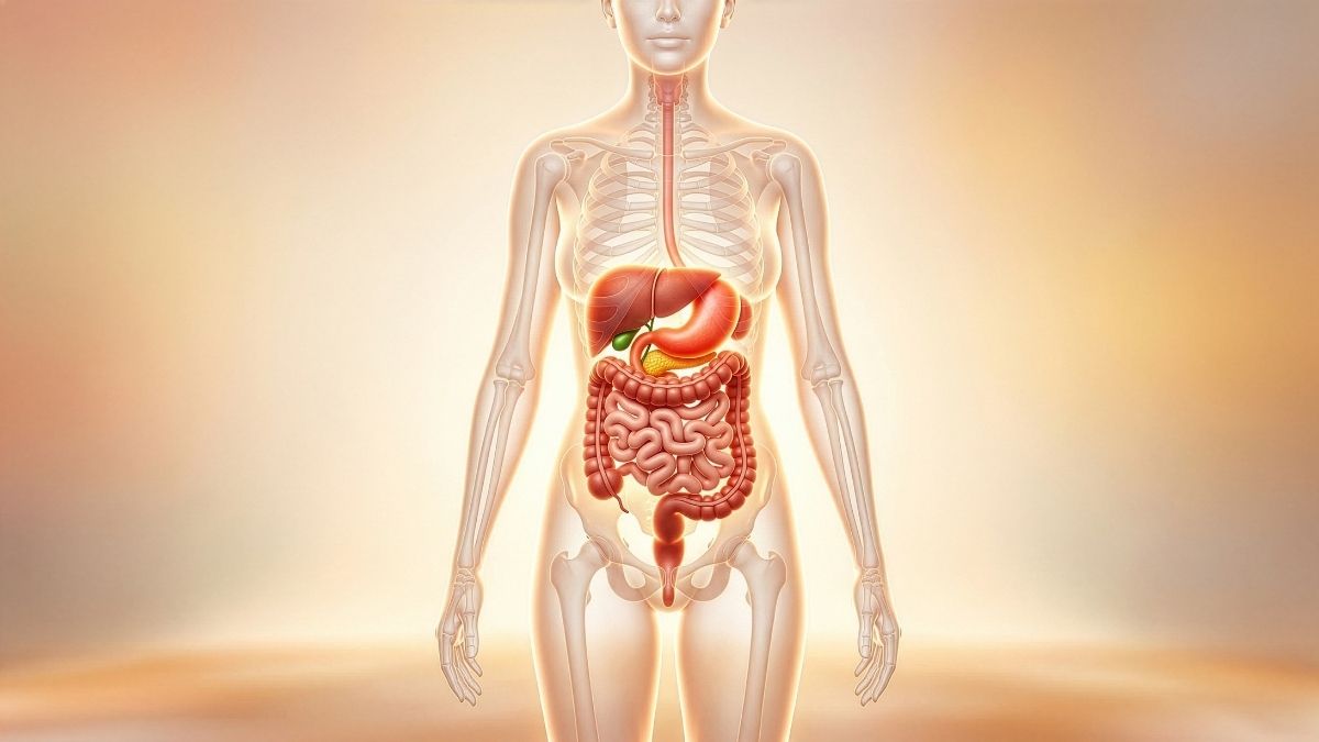 A saúde intestinal pode ser fortalecida com probióticos?
